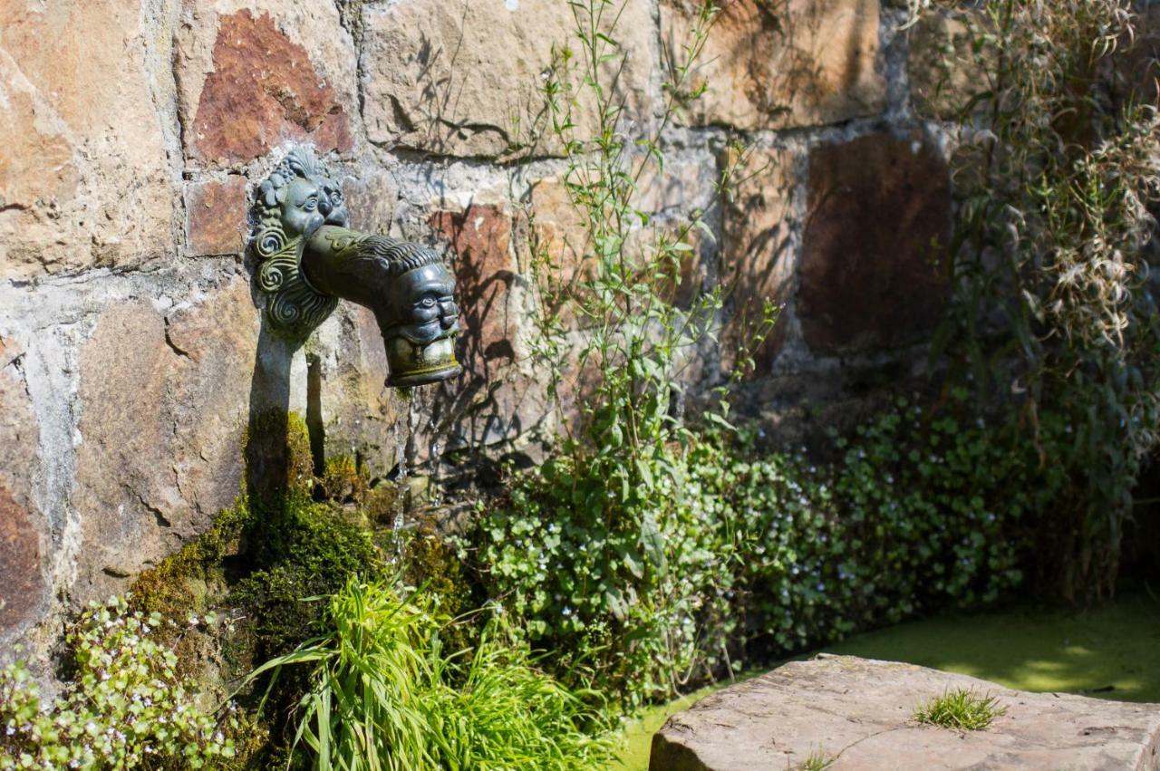 Domaine De Ronchinne - Maison Du Jardinier Maillen Exteriör bild