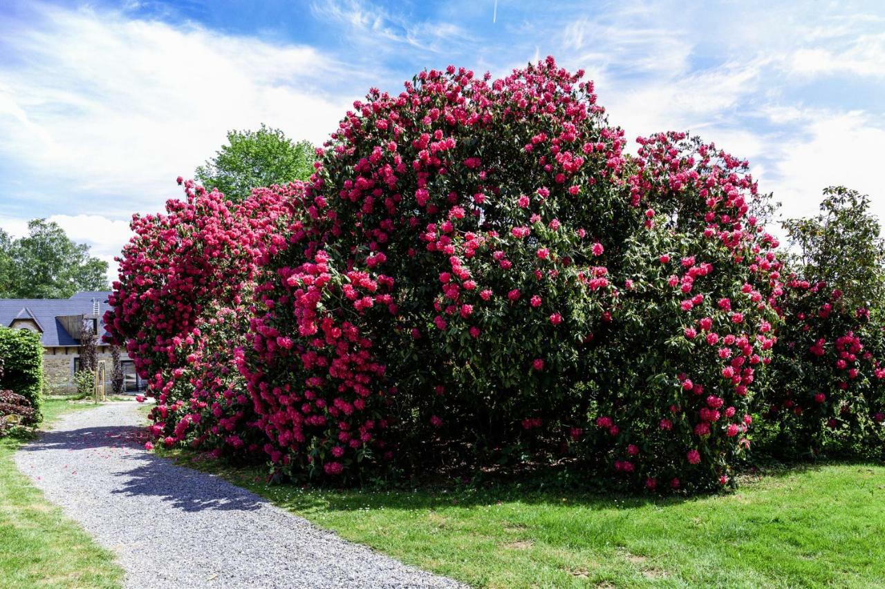 Domaine De Ronchinne - Maison Du Jardinier Maillen Exteriör bild